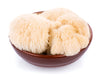 How Much Lion’s Mane Should I Take Daily?
