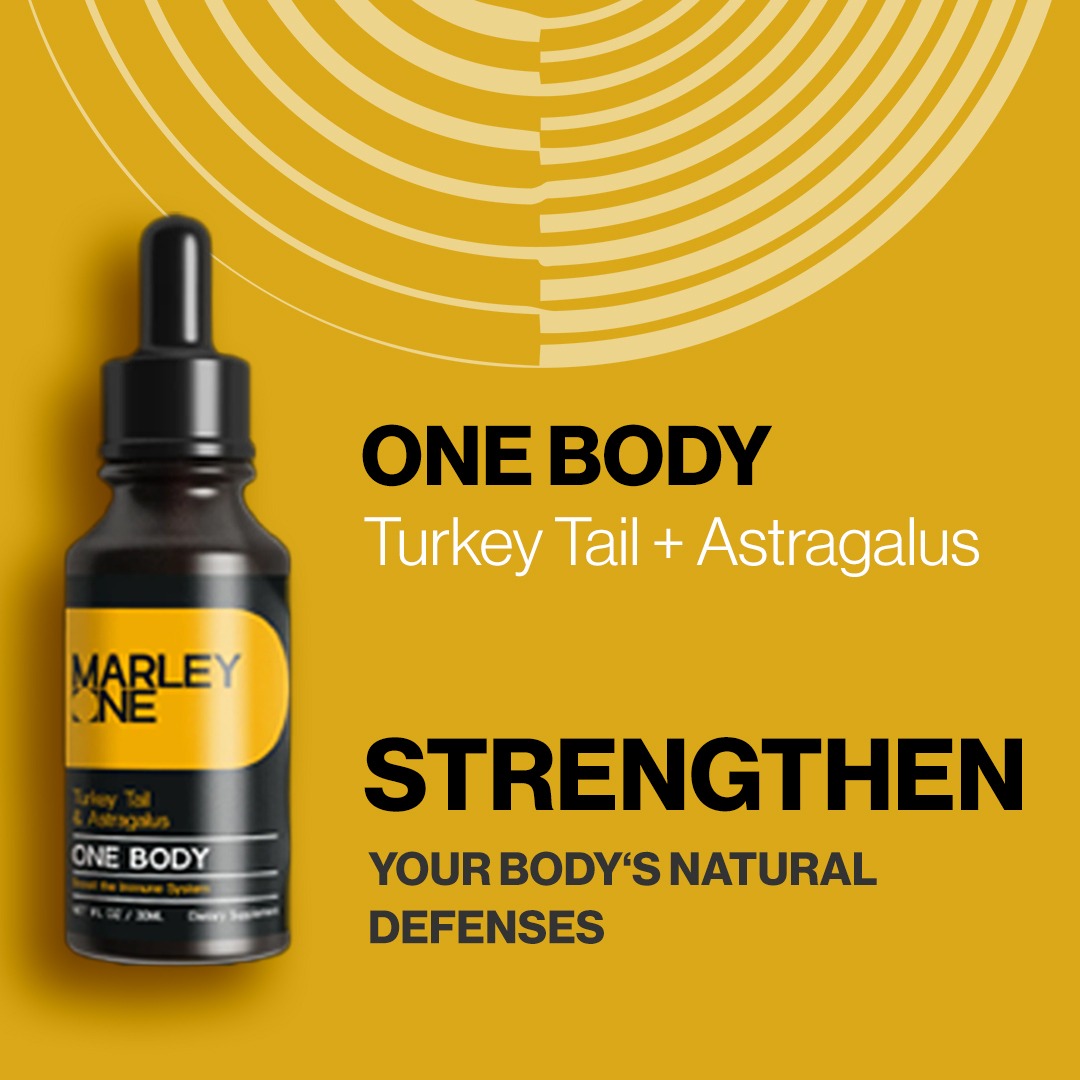 One Body - Premium Turkey Tail and Astragalus Supplement for Immune Support